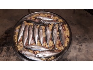 Tradicionalni Bosanski SAČ, POD PEKO, IZPOD PEKE, z INOX pekačem. Velikost 550mm  Družinska izvedba! *****